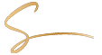 Synergy MD
